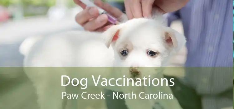 Dog Vaccinations Paw Creek - North Carolina