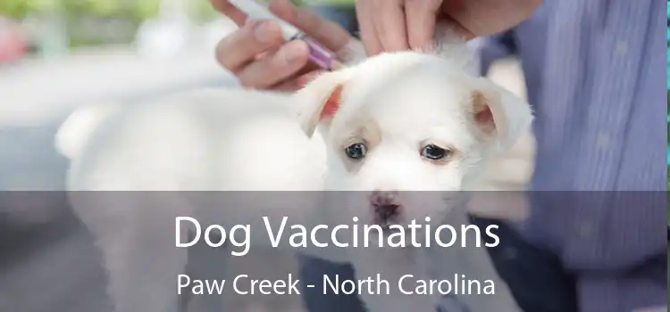 Dog Vaccinations Paw Creek - North Carolina