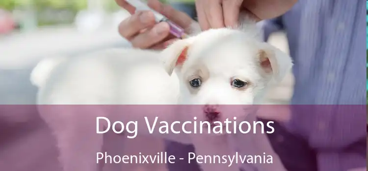 Dog Vaccinations Phoenixville - Pennsylvania