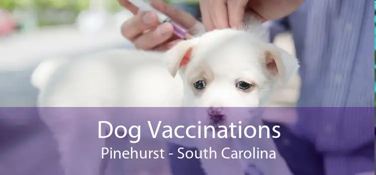 Dog Vaccinations Pinehurst - South Carolina