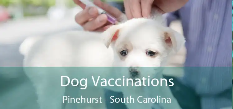 Dog Vaccinations Pinehurst - South Carolina