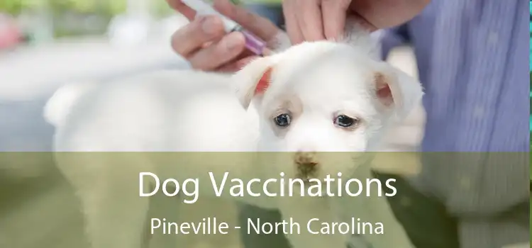 Dog Vaccinations Pineville - North Carolina