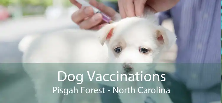 Dog Vaccinations Pisgah Forest - North Carolina