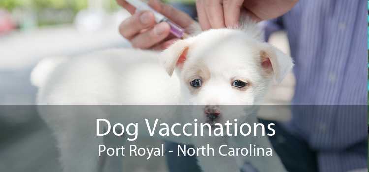 Dog Vaccinations Port Royal - North Carolina