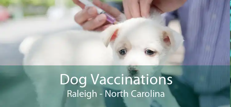 Dog Vaccinations Raleigh - North Carolina