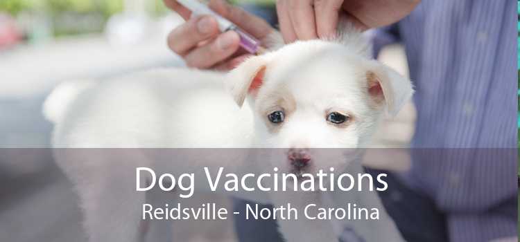 Dog Vaccinations Reidsville - North Carolina