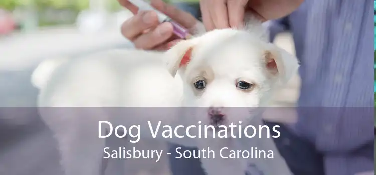 Dog Vaccinations Salisbury - South Carolina