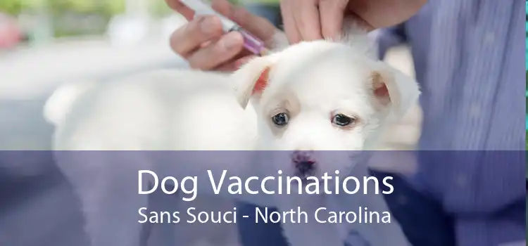 Dog Vaccinations Sans Souci - North Carolina