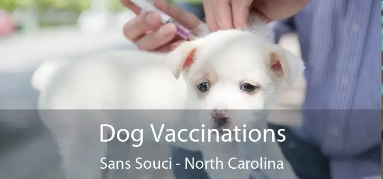 Dog Vaccinations Sans Souci - North Carolina