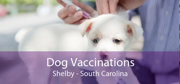 Dog Vaccinations Shelby - South Carolina