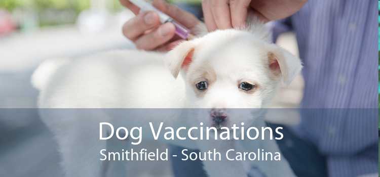 Dog Vaccinations Smithfield - South Carolina