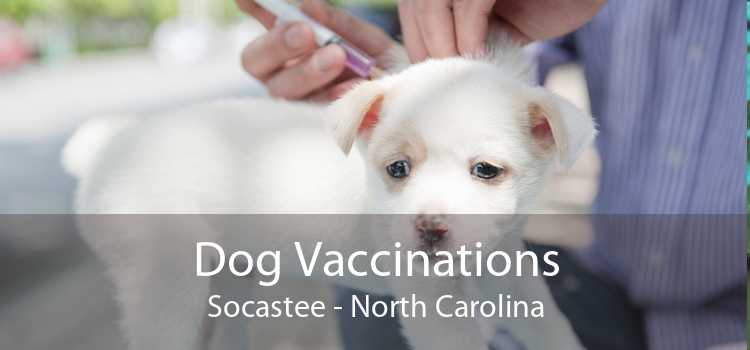 Dog Vaccinations Socastee - North Carolina