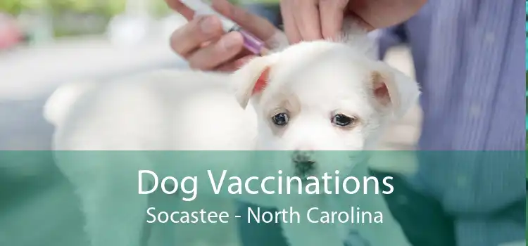 Dog Vaccinations Socastee - North Carolina