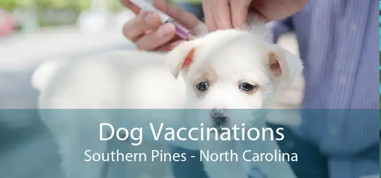 Dog Vaccinations Southern Pines - North Carolina