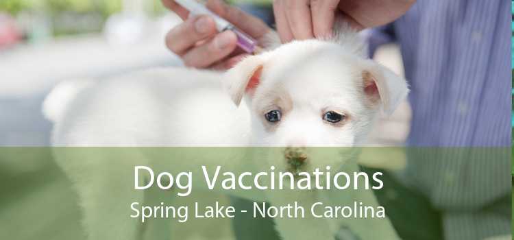 Dog Vaccinations Spring Lake - North Carolina