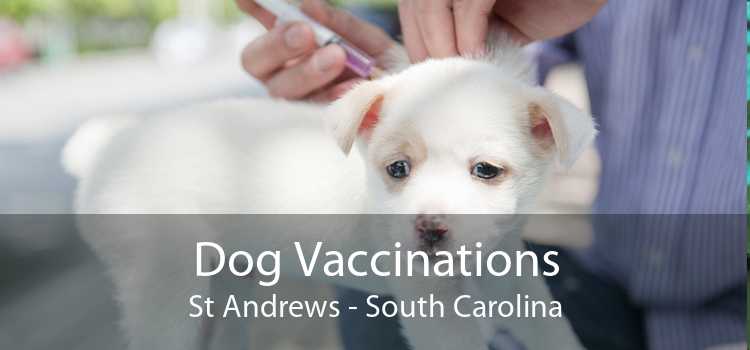 Dog Vaccinations St Andrews - South Carolina
