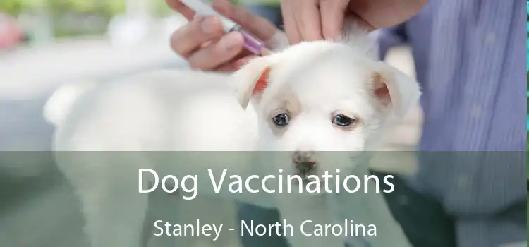 Dog Vaccinations Stanley - North Carolina