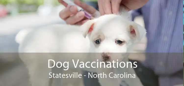 Dog Vaccinations Statesville - North Carolina