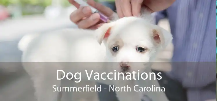 Dog Vaccinations Summerfield - North Carolina
