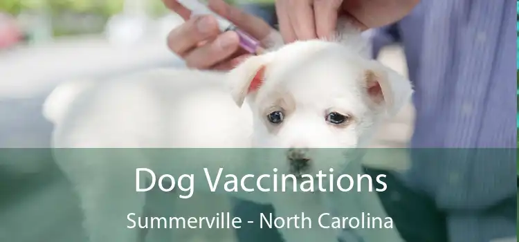 Dog Vaccinations Summerville - North Carolina