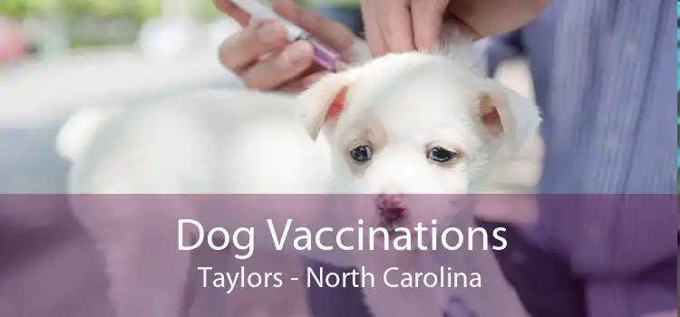 Dog Vaccinations Taylors - North Carolina
