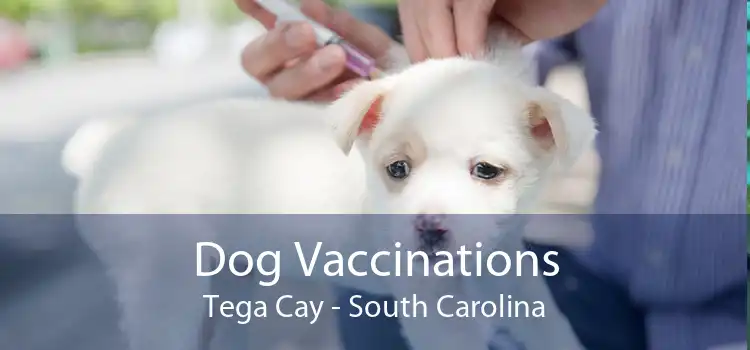 Dog Vaccinations Tega Cay - South Carolina