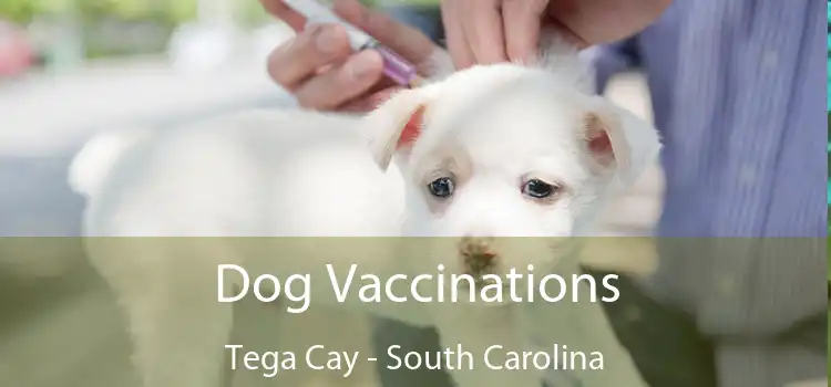 Dog Vaccinations Tega Cay - South Carolina