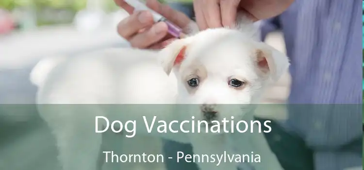 Dog Vaccinations Thornton - Pennsylvania