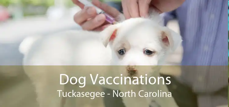 Dog Vaccinations Tuckasegee - North Carolina