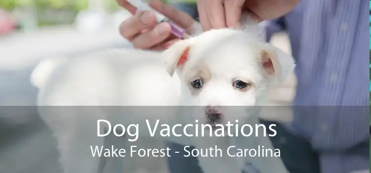 Dog Vaccinations Wake Forest - South Carolina