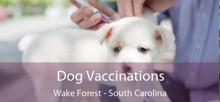 Dog Vaccinations Wake Forest - South Carolina