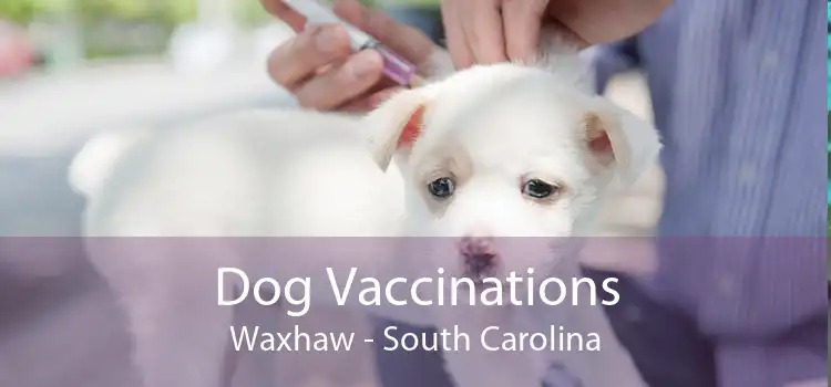 Dog Vaccinations Waxhaw - South Carolina