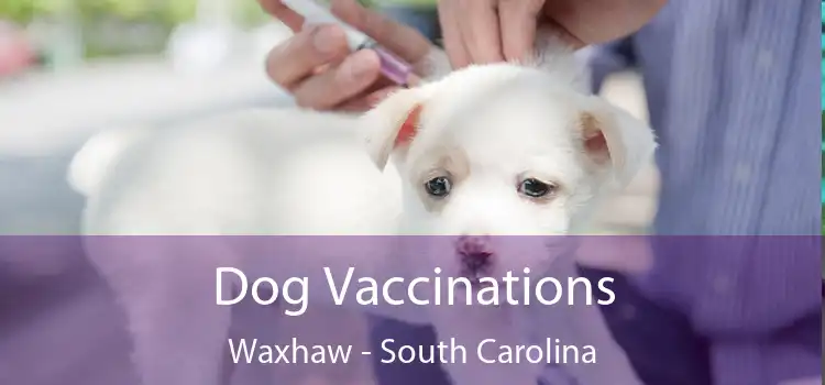 Dog Vaccinations Waxhaw - South Carolina