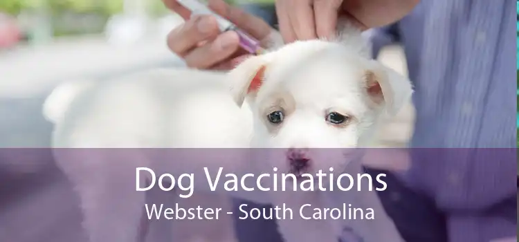 Dog Vaccinations Webster - South Carolina