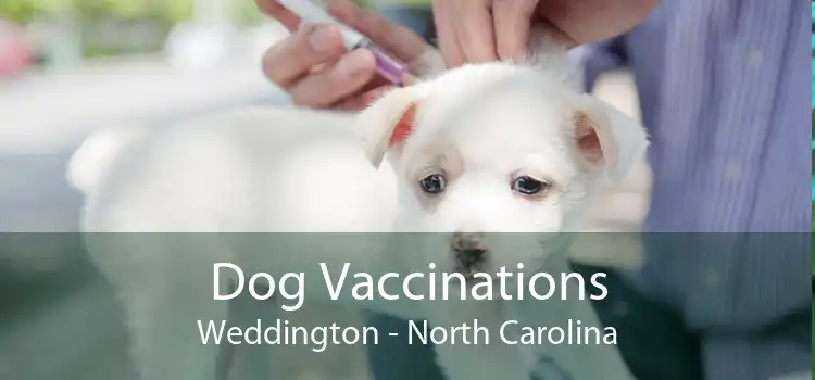Dog Vaccinations Weddington - North Carolina