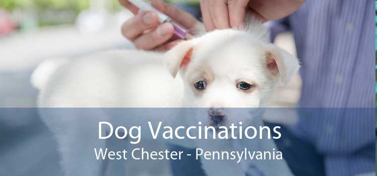 Dog Vaccinations West Chester - Pennsylvania