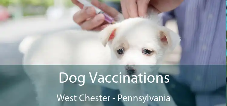 Dog Vaccinations West Chester - Pennsylvania