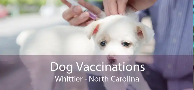 Dog Vaccinations Whittier - North Carolina