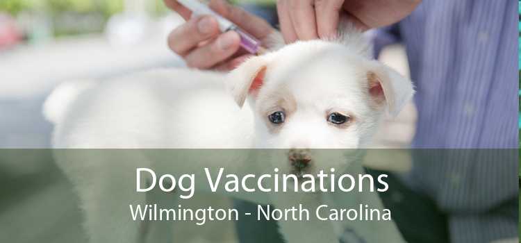 Dog Vaccinations Wilmington - North Carolina