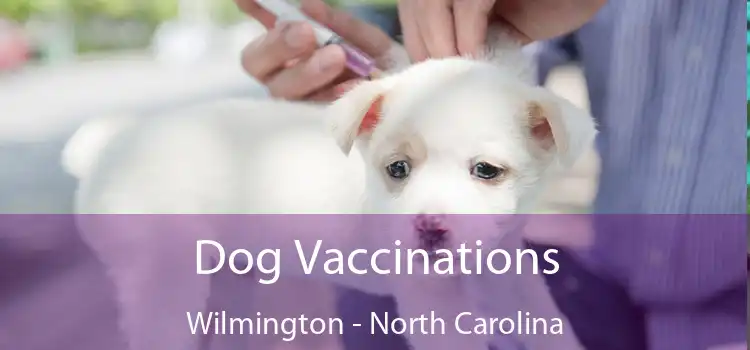 Dog Vaccinations Wilmington - North Carolina