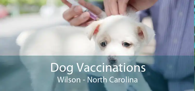 Dog Vaccinations Wilson - North Carolina