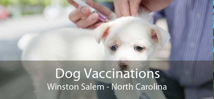Dog Vaccinations Winston Salem - North Carolina