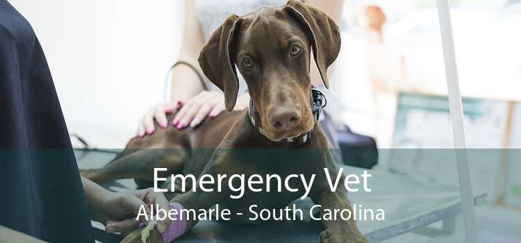 Emergency Vet Albemarle - South Carolina