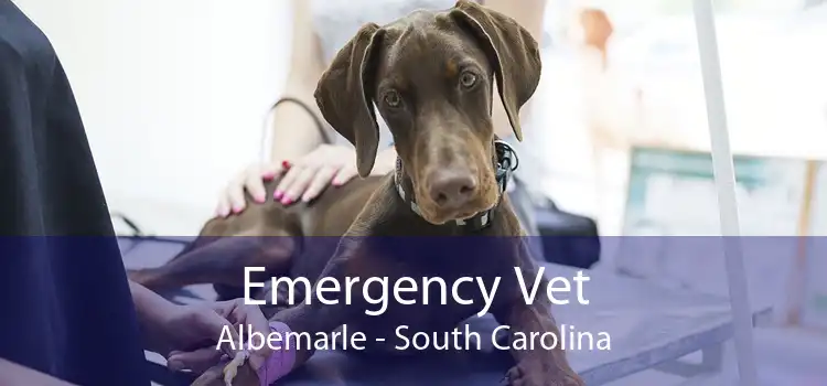 Emergency Vet Albemarle - South Carolina