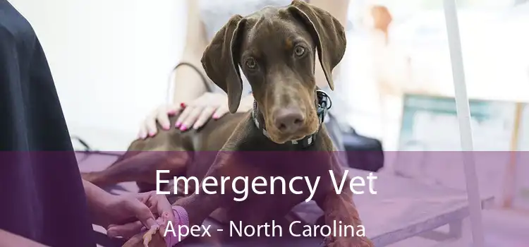 Emergency Vet Apex - North Carolina