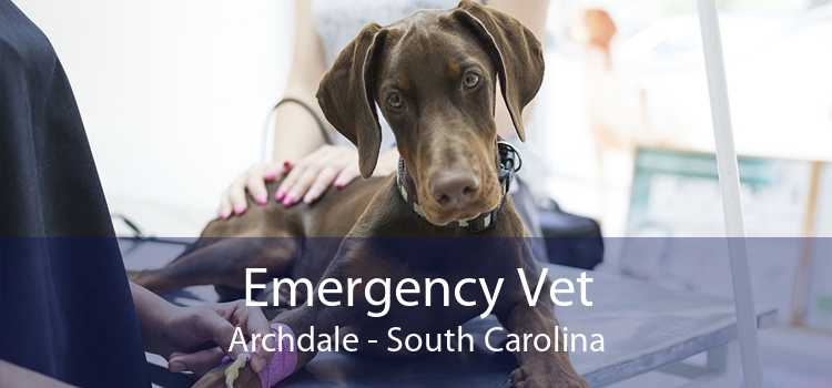 Emergency Vet Archdale - South Carolina