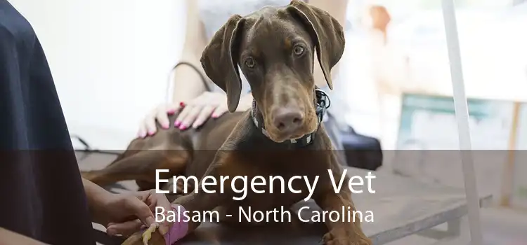 Emergency Vet Balsam - North Carolina