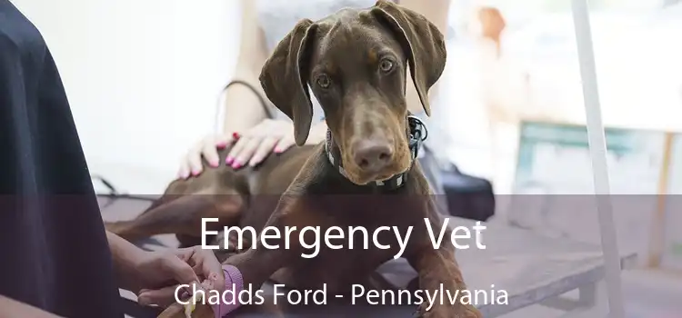 Emergency Vet Chadds Ford - Pennsylvania