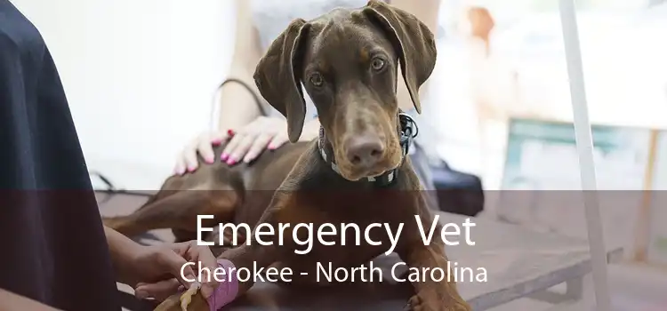 Emergency Vet Cherokee - North Carolina