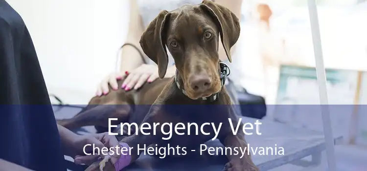 Emergency Vet Chester Heights - Pennsylvania